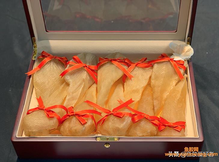 什么魚的魚膠品質(zhì)最好